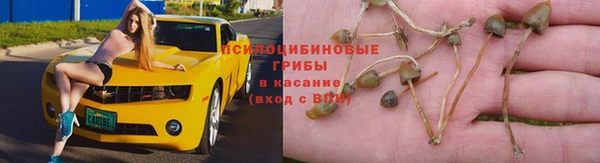 таблы Богородск